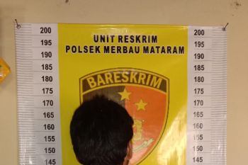 Polres Lampung Selatan tangkap tersangka diduga cabuli anak kandung