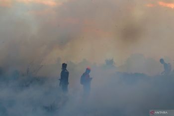 BMKG: Delapan daerah di Kalsel kabut asap akibat karhutla pada Senin