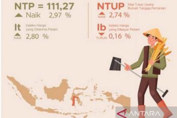 BPS : Nilai tukar petani Sulsel  naik 2,97 persen pada September