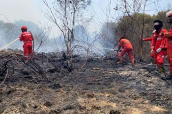 Penderita gangguan pernafasan rentan terdampak kabut asap