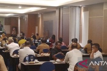 Posyandu dan PKK Jayapura diminta bersinergi pantau kasus stunting anak