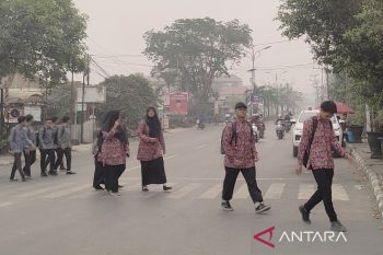 Kualitas udara di Tapin Kalsel buruk akibat karhutla