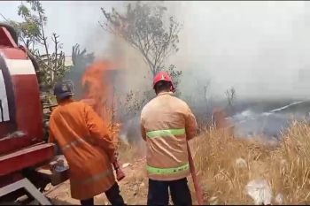 Damkar Lampung Selatan padamkan empat lokasi kebakaran lahan pada Rabu