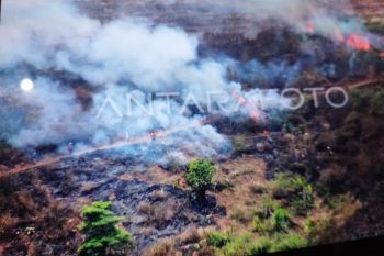 Waspadai karhutla dengan 5R dan formula UNEP