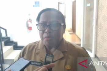 Dinkes Kabupaten Jayapura harap Pokjonal Posyandu terbentuk