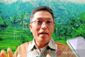 Presiden Jokowi dijadwalkan menyaksikan MotoGP Mandalika