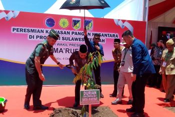 Wapres resmikan Kawasan Pangan Nusantara untuk topang sektor pangan IKN