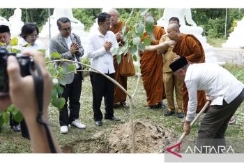 Kakanwil Kemenag tanam pohon bodhisattva simbol agama Buddha
