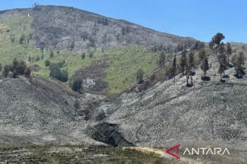 Polda Jatim limpahkan berkas kasus karhutla kawasan Bromo ke Kejaksaan