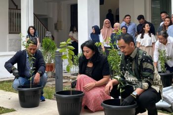 Anak usaha Injourney tanam 200 pohon tekan polusi udara Jakarta