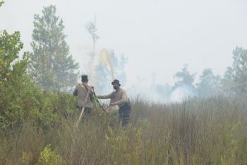Berikut luasan lahan gambut terbakar di Palangka Raya