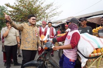 Pemkab Kediri jadikan mangga podang produk unggulan