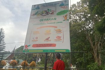 Pasaman Barat berupaya tingkatkan konsumsi pangan beragam