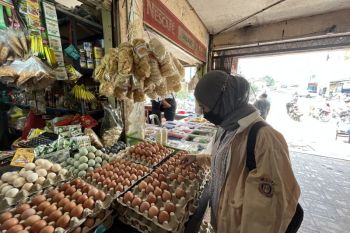TPID Kepri galakkan gerakan pangan murah tekan kenaikan harga komoditas