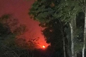 Lereng Gunung Argopuro terbakar, petugas terus pantau