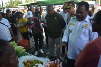 Bupati Nabire imbau masyarakat tanam pangan lokal