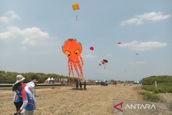 Mundu Pesisir Village in Cirebon holds International Kite Festival