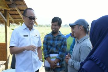 Pj Gubernur dorong balai benih jadi pusat inovasi pertanian di Sulbar