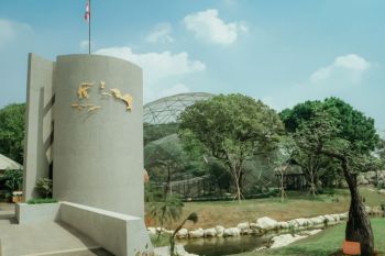 A walk in the Bird Park of Jagat Satwa Nusantara