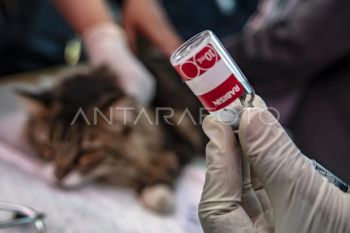 Hari rabies sedunia 2023