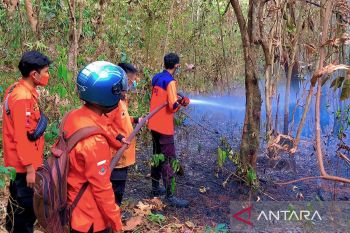 BPBD: 64 kasus karhutla terjadi di OKU  pada September-Oktober
