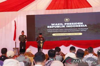 PLN berikan solusi layanan listrik andal pada peresmian Kawasan Pangan Nusantara