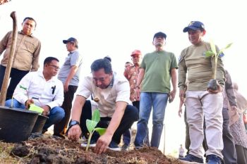 Pj Gubernur Sulsel usulkan pemanfaatan Dana Desa bangun rumpon ikan