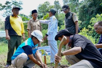 PLN dukung gerakan Gotong Royong Boyong Pohon bersama BUMN