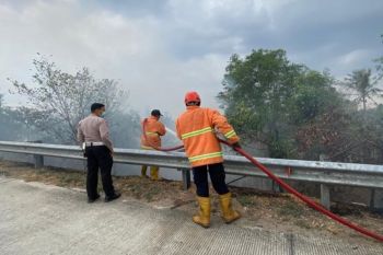 Damkarmat Lampung Selatan padamkan kebakaran di exit tol Natar