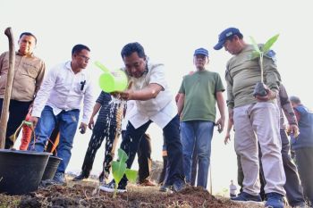Pj Gubernur Sulsel undang swasta berinvestasi pada budi daya pisang
