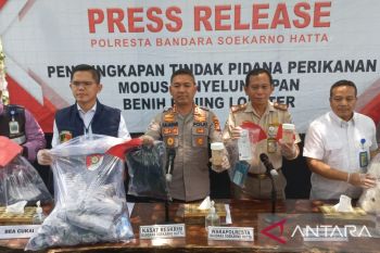 Polresta Soetta cegah penyelundupan 107 ribu benur tujuan Singapura