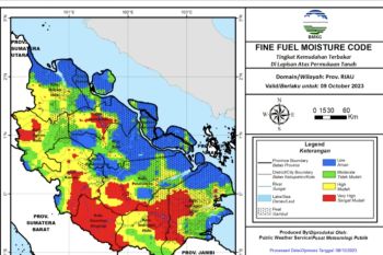 BMKG catat 220 hot spot di Riau