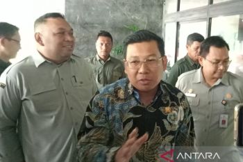 Plt Mentan sebut produksi beras tercukupi