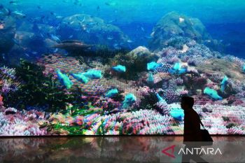 AIS Forum: Pursuing innovations for sustainable oceans