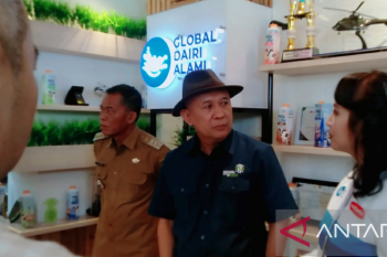 Industri ternak sapi terpadu berdayakan peternak lokal Subang