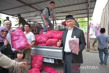 Disperindag Sumbar : Anjoknya harga bawang merah diduga karena "panen raya"