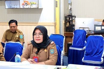 OKU Selatan gandeng swasta wujudkan kota cerdas