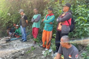 BPBD Wajo: 200-an hektare tanaman cabai terancam gagal panen