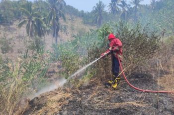 Damkar Lampung Selatan hingga Oktober tangani 122 kebakaran lahan