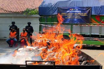 Bea Cukai Semarang : Ada 114 kali tindak peredaran rokok ilegal