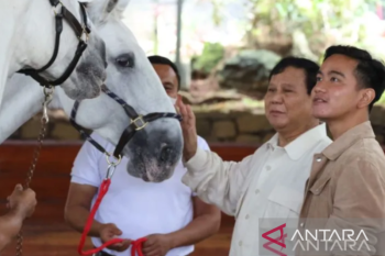 Gibran dinilai berpeluang besar jadi pasangan Prabowo