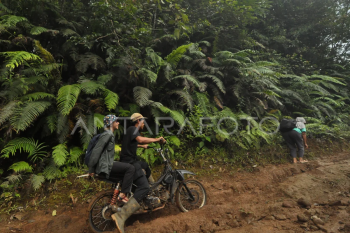 Akses jalan desa wisata di Bengkulu