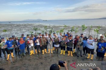Sebanyak 7.000 bibit mangrove ditanam di daerah pesisir Konawe