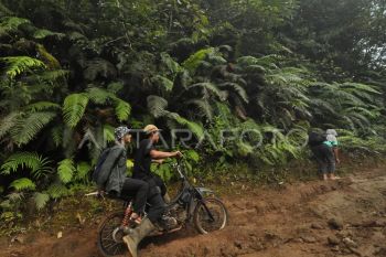Akses jalan desa wisata di Bengkulu Utara