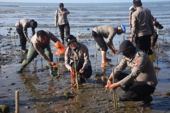 Polres Bulukumba menanam 1000 bibit mangrove