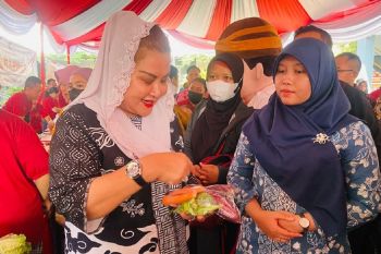 Pak Rahman dan Sanpiisan jadi program unggulan saat validasi IGA