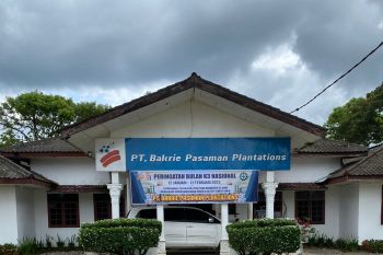 Seorang karyawan PT BPP Pasaman Barat diduga kecelakaan kerja hingga meninggal dunia