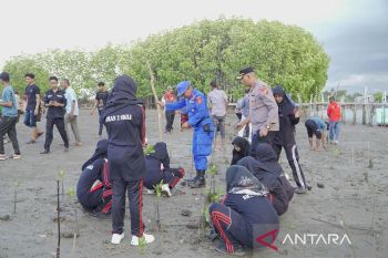 Jaga garis pantai dari abrasi, Polres Pidie tanam 1.500 pohon mangrove