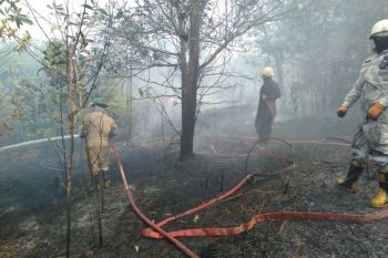 Damkar tangani karhutla seluas 27,5 hektare di Bintan