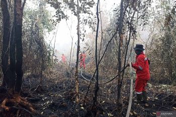 Karhutla di Kalsel meluas rambah kawasan Gubernur Sarkawi